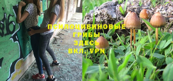 дурь Вязники