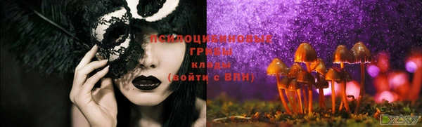 шишки Вязьма