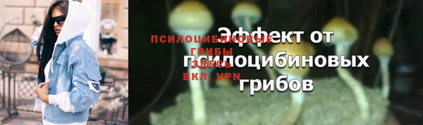 шишки Вязьма