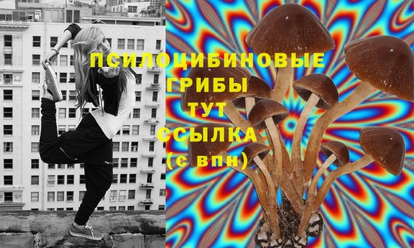 дурь Вязники