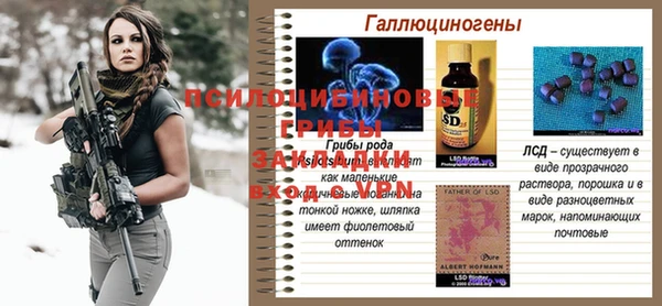 PSILOCYBIN Сосновый Бор