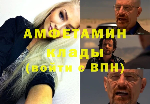 шишки Вязьма