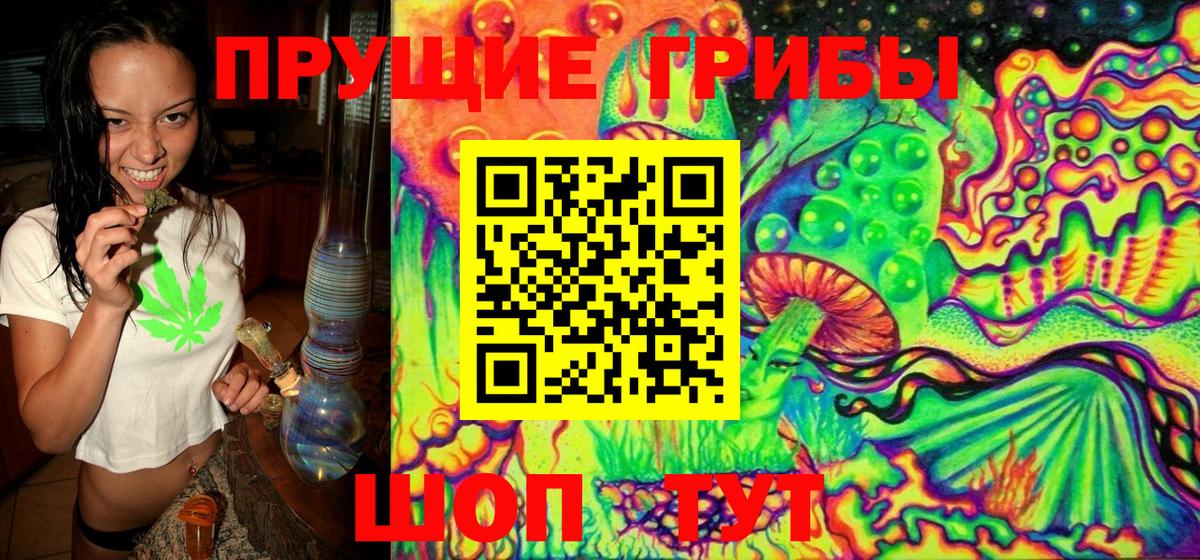 Снежинск  Галлюциногенные грибы Cubensis  Псилоцибиновые грибы Psilocybine cubensis  Вход с VPN 